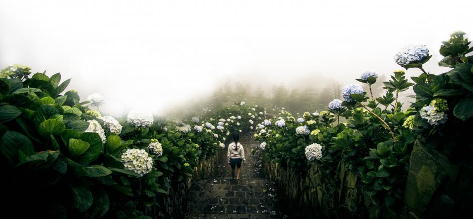 woman walking down steps surrounded by flowers and fog