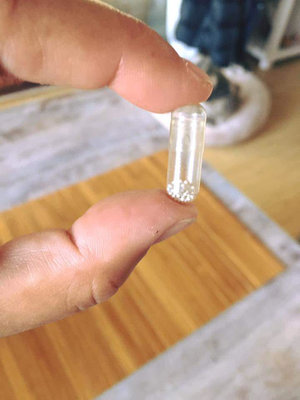 beads in empty gel capsule