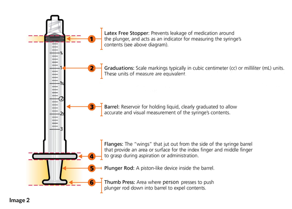 parts of a syringe